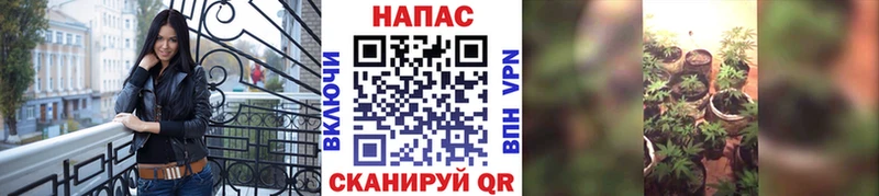 Купить  Волжск  МАРИХУАНА White Widow 